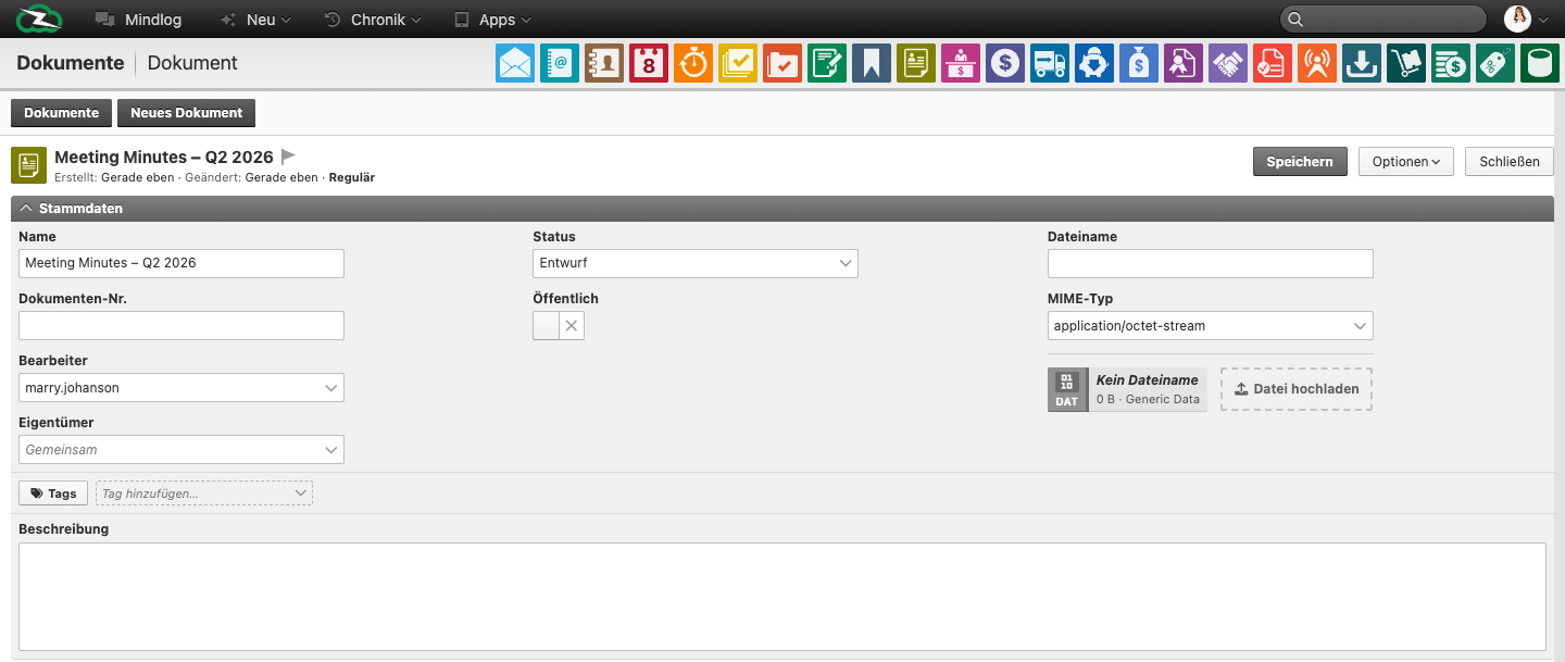 Document form showing name, document number, status, public flag, assignee, owner, tags, MIME type, and file upload area